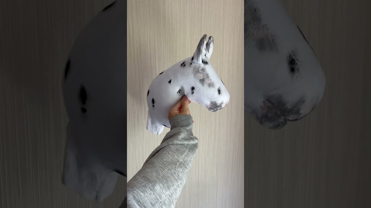 Lubicie tarantowate konie ? #hobbyhorse #horse #hobbyhorsing #equestrian #handmade #therian #diy