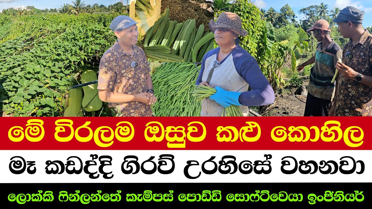 Unseen Miracle of Black Kohila | “The Farming Couple Who Raised Engineers 👨‍🔧👩‍🔧