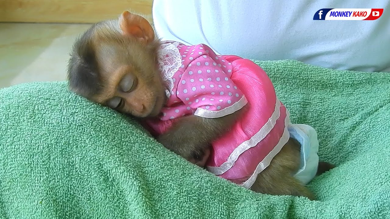 Tiny Baby Nina Grooming And Sleep Well When Mom Clean Her Ears