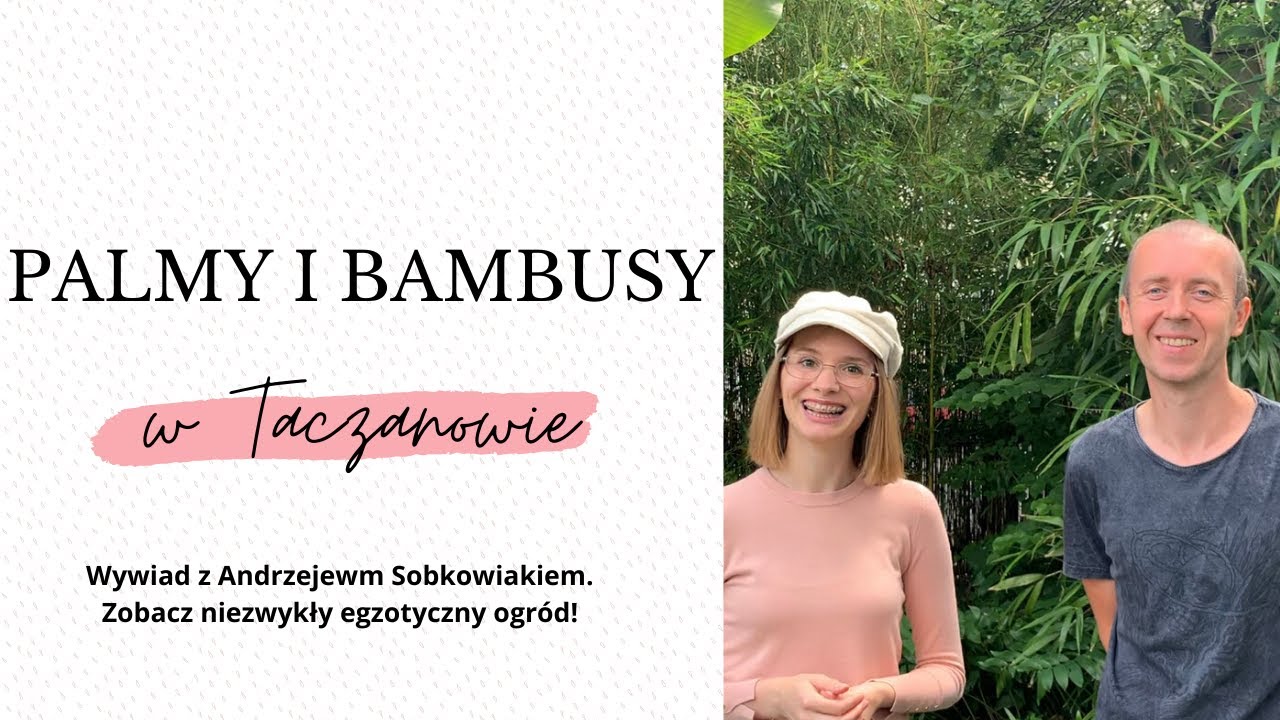 Palmy i bambusy w Taczanowie - wywiad z Andrzejem Sobkowiakiem. Zobacz niezwykły egzotyczny ogród!