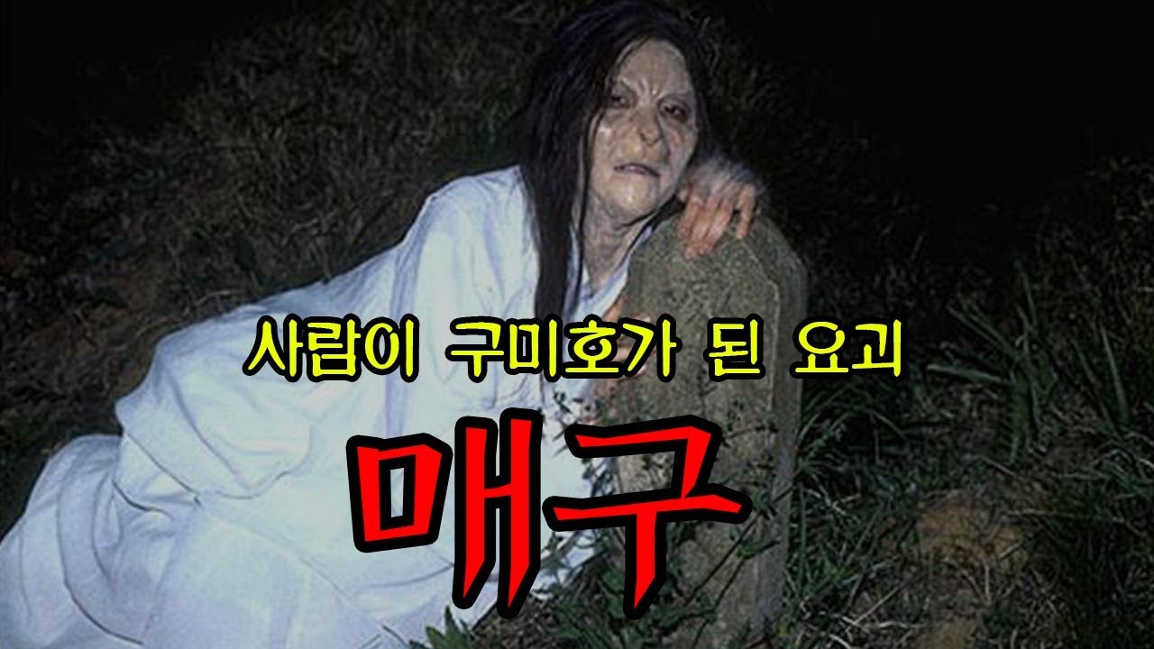 [전설의교양] 구미호와 다른 또 다른 여우 '매구' ㅣ 무서운이야기 ㅣ 공포학과