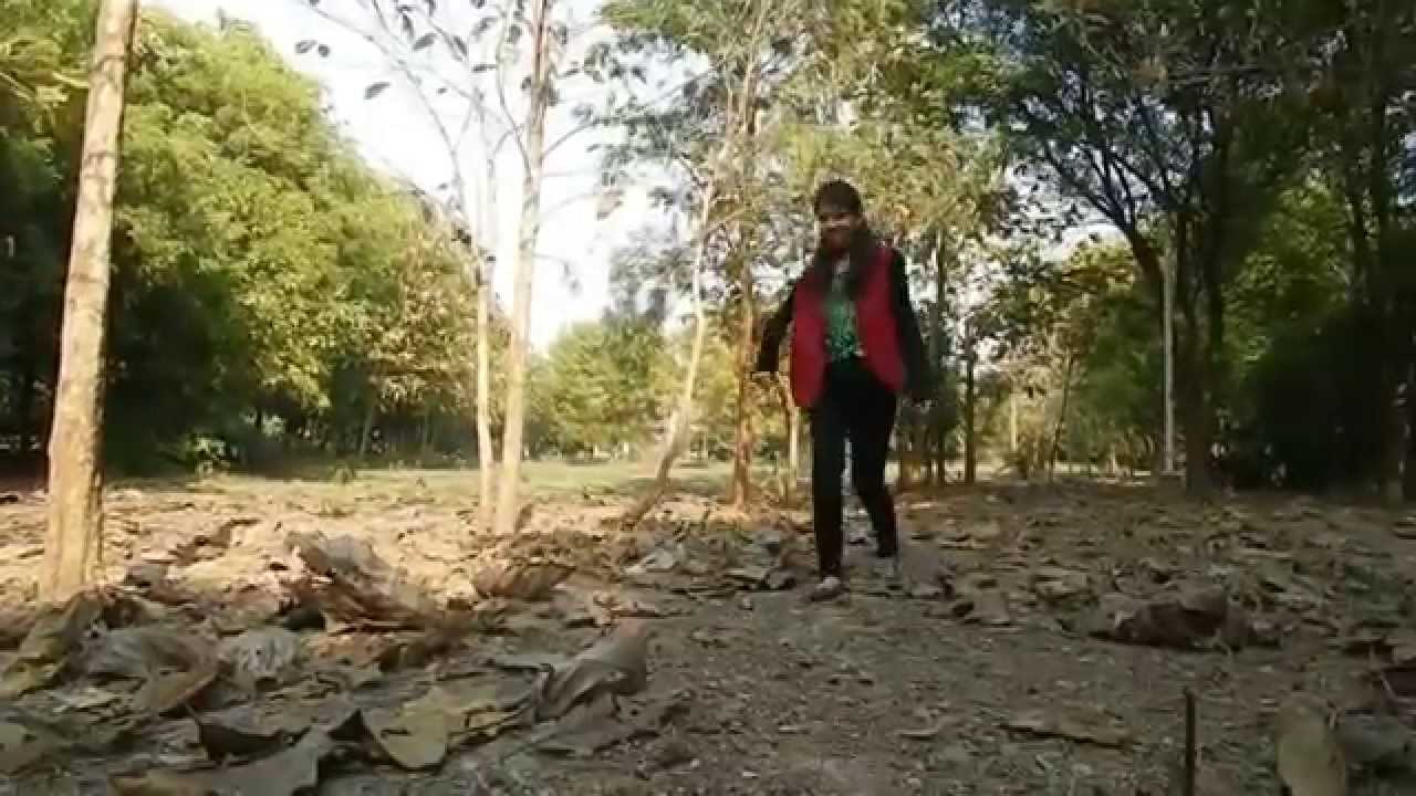 Pharrell Williams - Happy (IIITM GWALIOR)