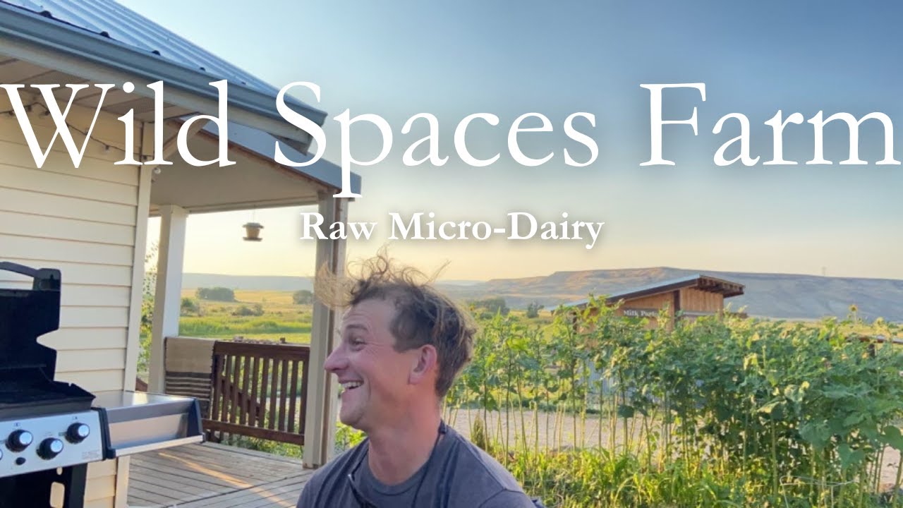 Революция сырого молока: взгляд на микромолочную ферму Wild Spaces