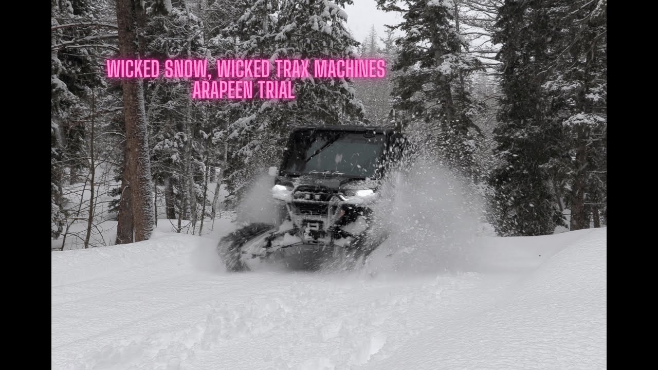 Deep Powder Trax Machines On The Arapeen Trail