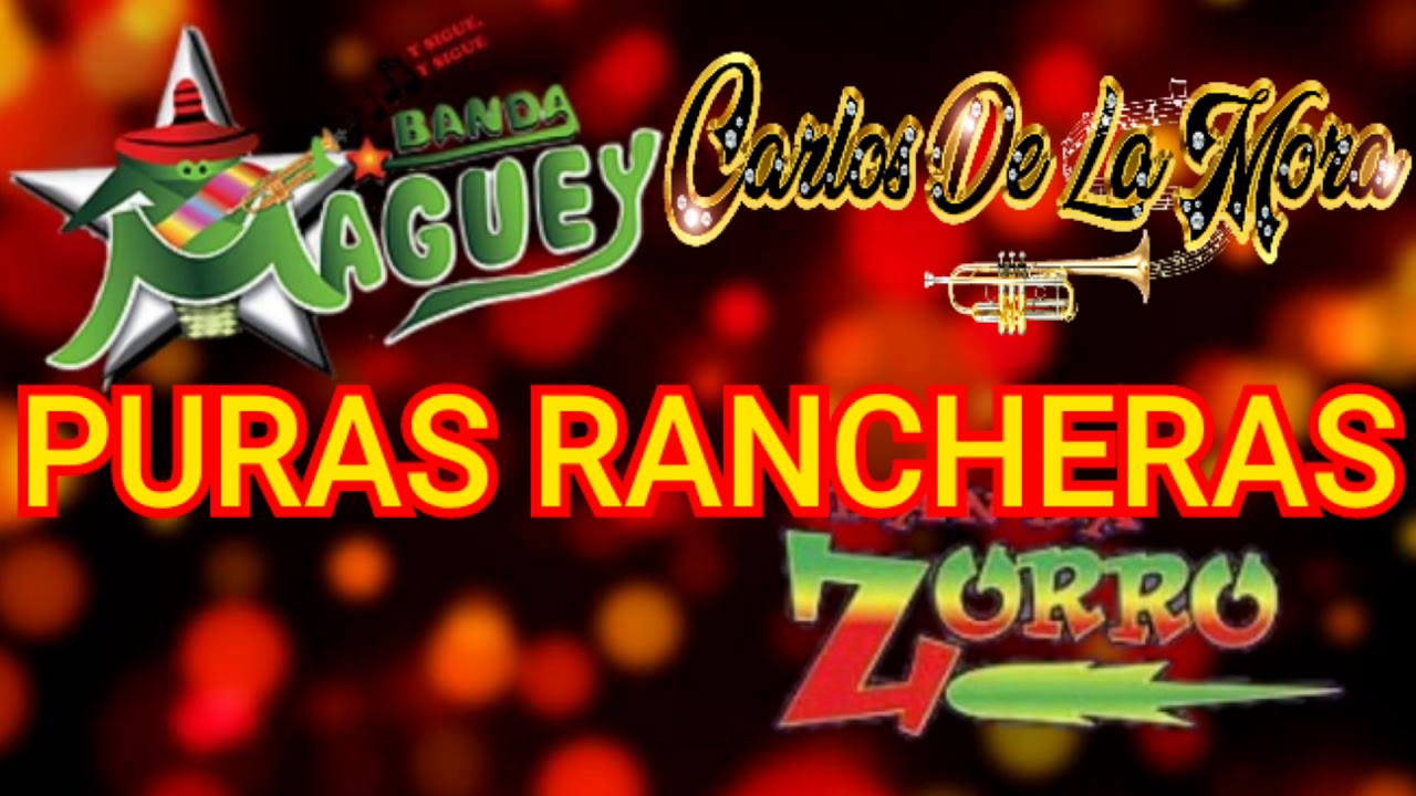 banda maguey y banda zorro y Carlos de la mora. puras rancheras.