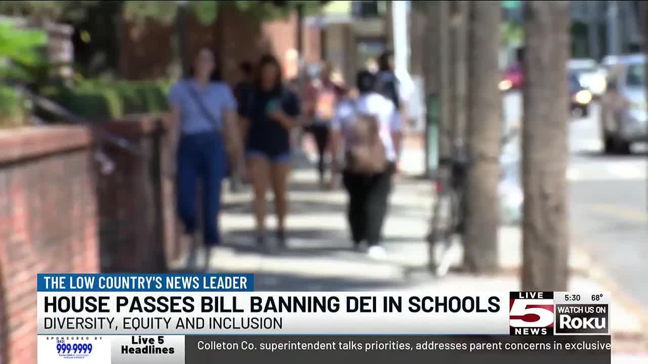 VIDEO: SC House passes bill to limit diversity initiatives on college campuses