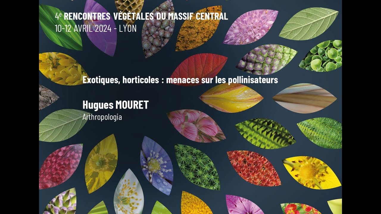 17 Exotiques, horticoles : menaces sur les pollinisateurs - Rencontres végétales du Massif central