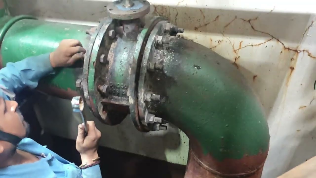 Renew butterfly valve