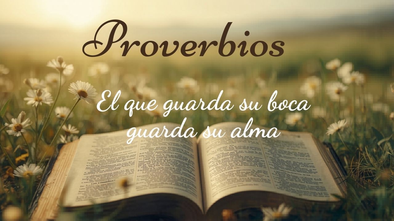 Tu Manual Definitivo de Proverbios
