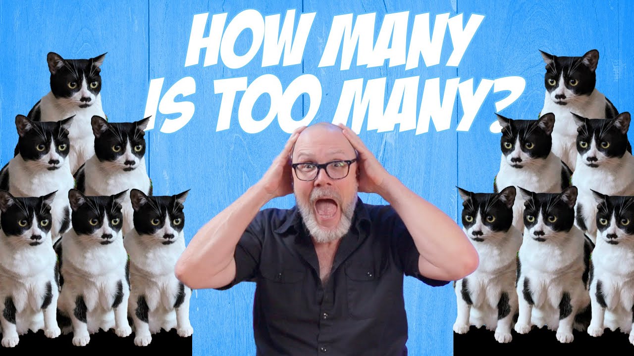 How Many Cats is Too Many Cats?