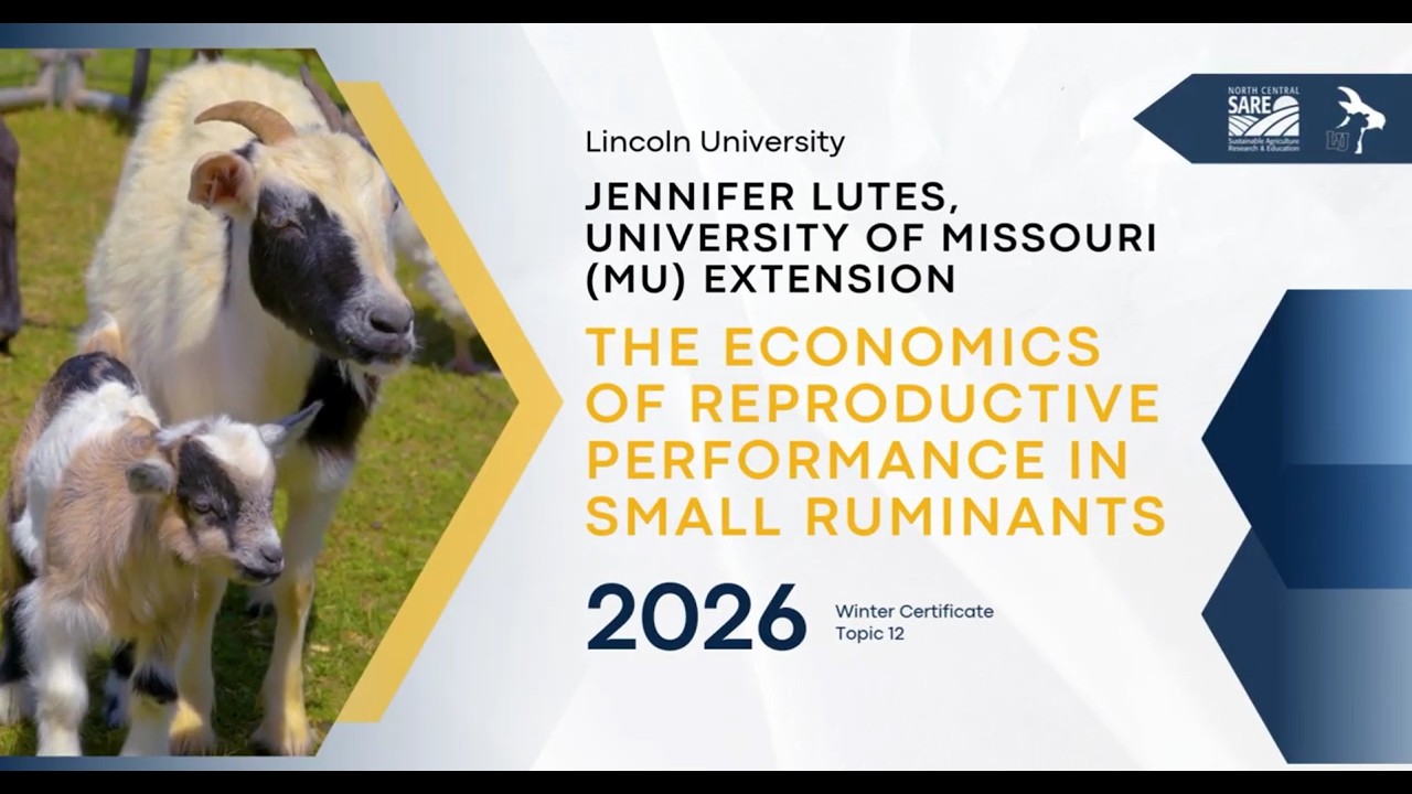 Topic 12:, Feb 23, 2026. The Economics of Reproductive Performance in Small Ruminants.