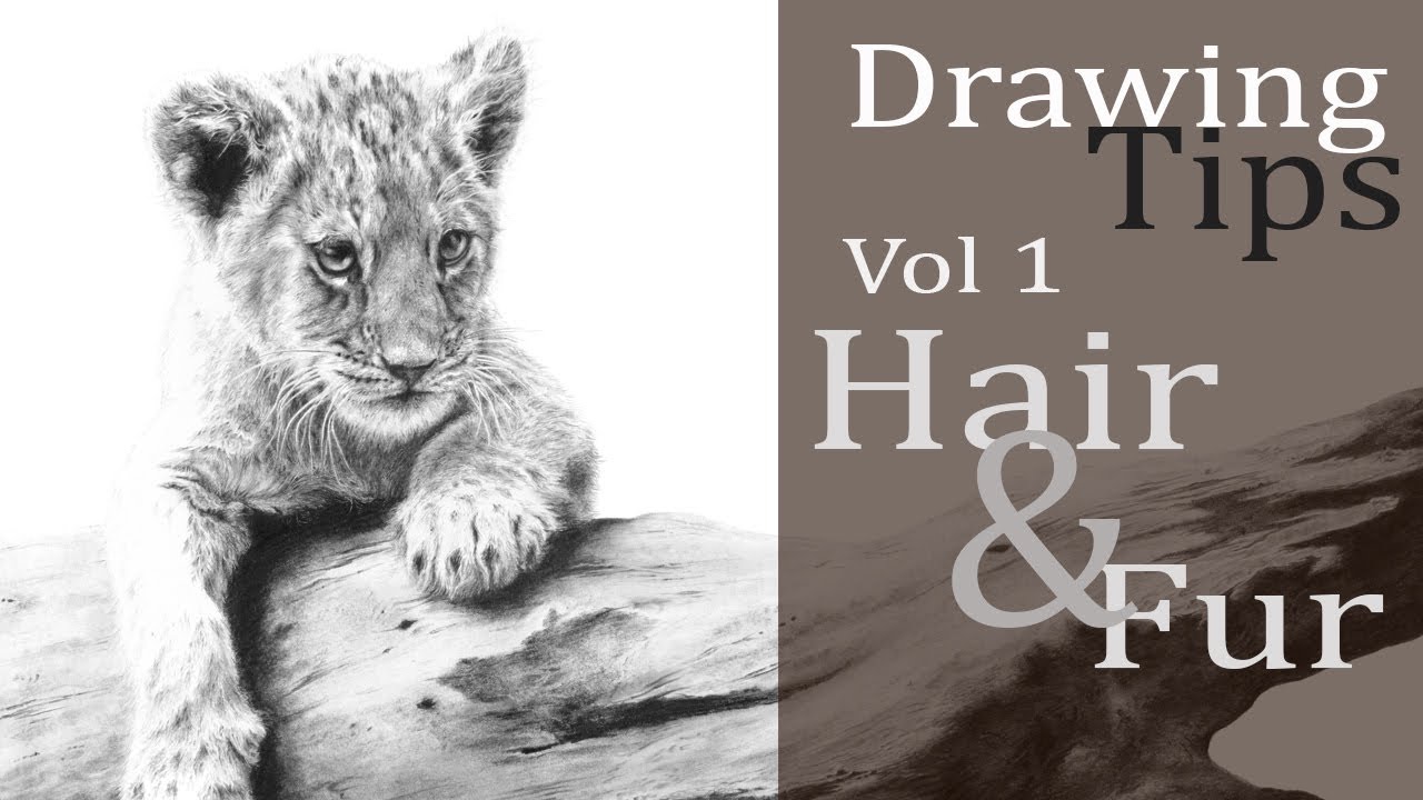 Drawing Tips - Vol 1 Hair & Fur