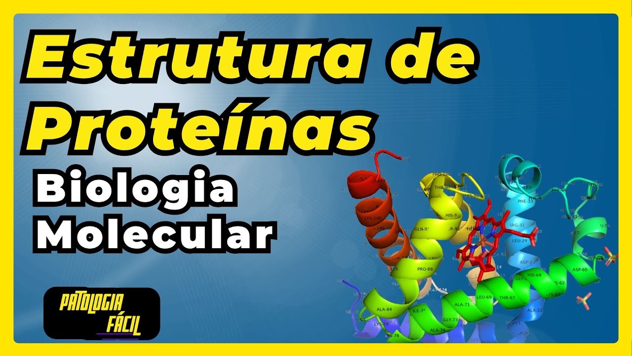 Estrutura de Proteínas [ Biologia Molecular ]