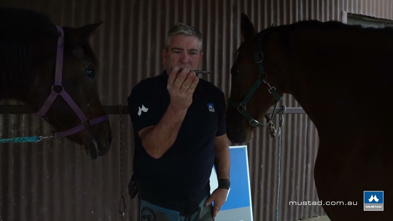 Master Clinic with Dean Lewis AWCF - Part 3 - Shoeing the Front Hoof