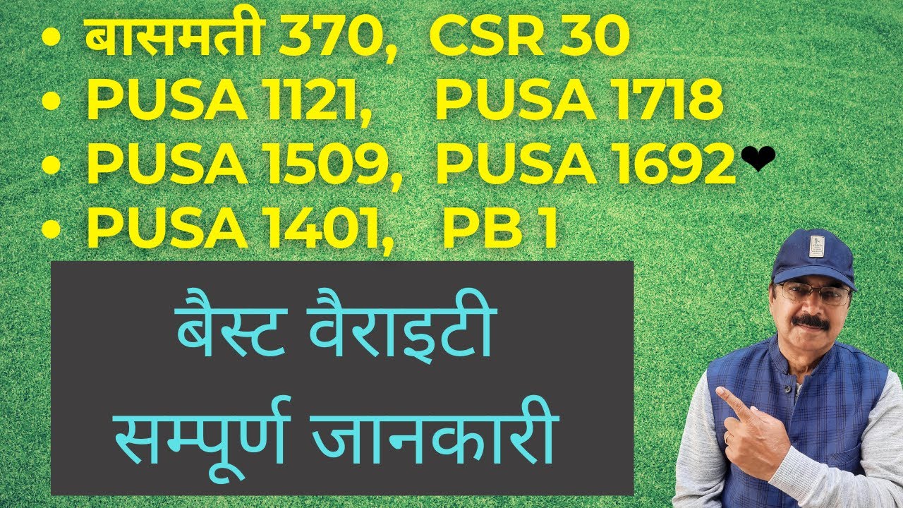 बासमती क़िस्मों की सारी जानकारी । Basmati varieties information
