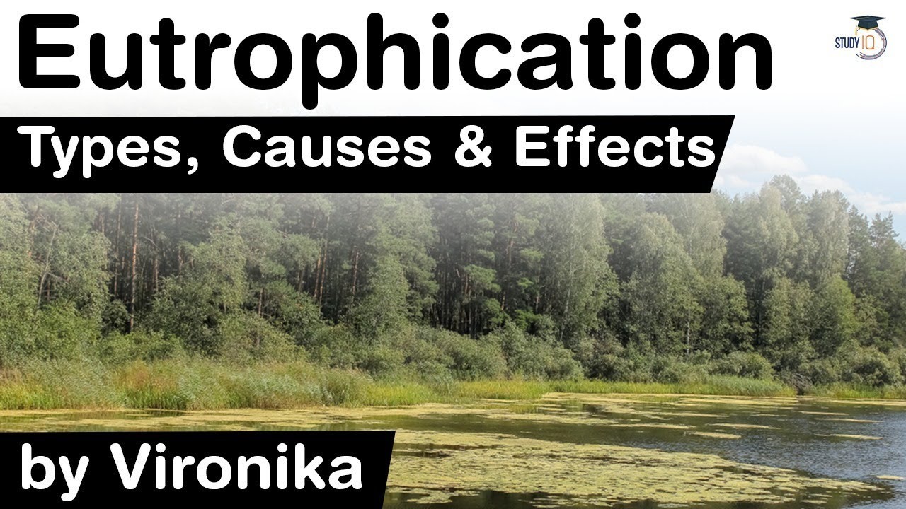 What is Eutrophication? Types, Causes and Effects of Eutrophication explained #UPSC #IAS