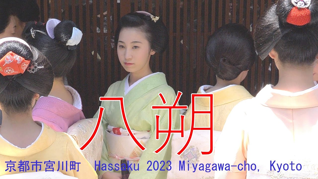 酷暑のなか「おめでとうさんどす」平服姿の舞妓さんの明るい声　八朔　京都花街宮川町　2023　Hassaku-Maiko  2023 Miyagawa-cho, Kyoto Japan