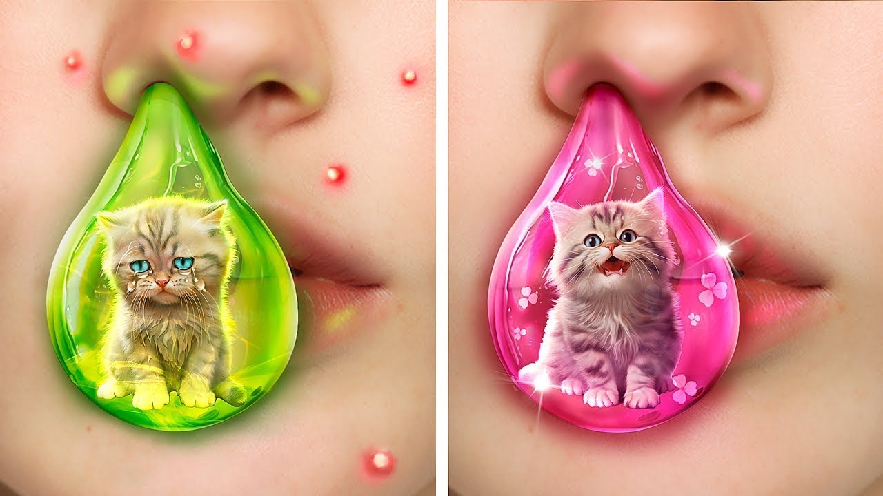 Ik Heb een Dakloze Kitten Gered! Geheime Life Hacks voor Huisdiereigenaren!