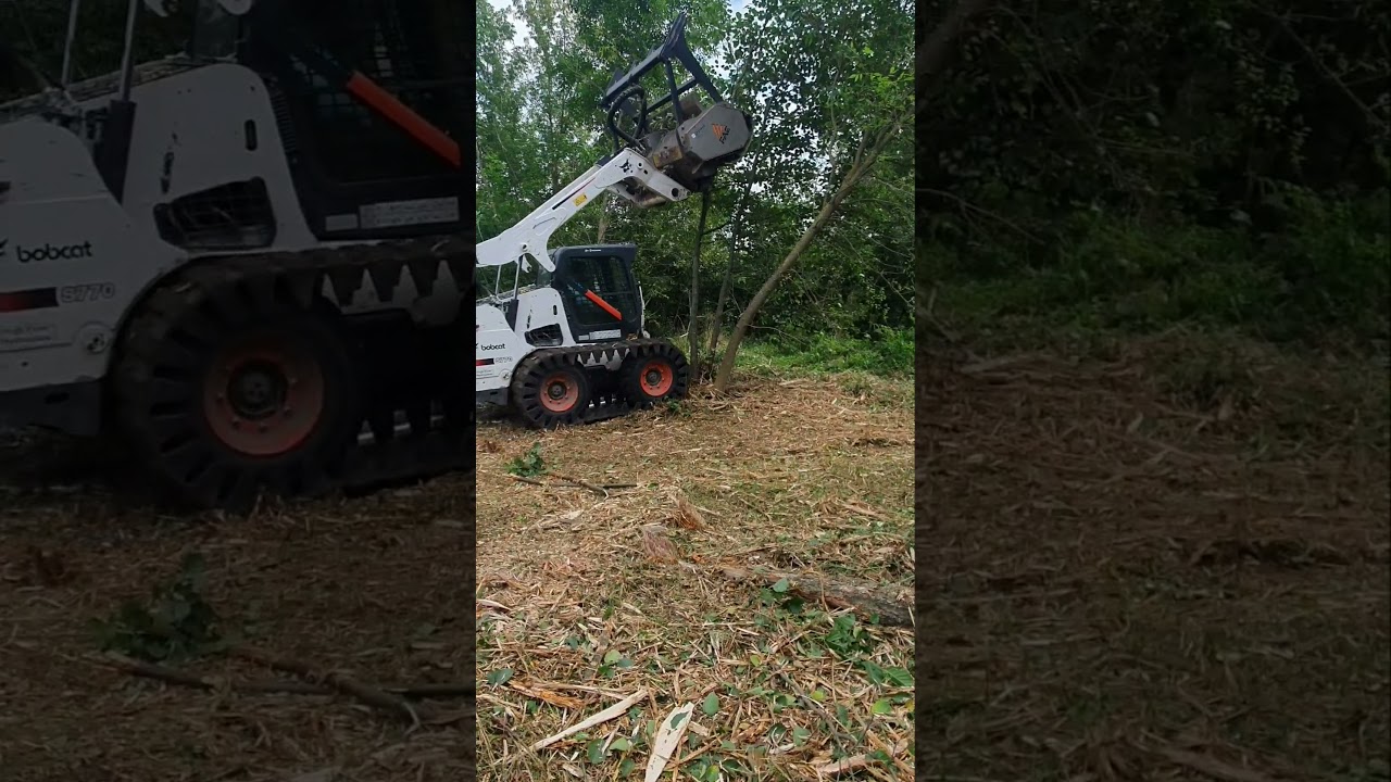 Mulczer leśny Bobcat-karczowanie terenu.