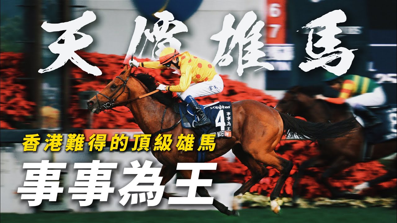 傳聞身價高達二千萬港元的打吡冠軍！香港難得的頂級雄馬｜事事為王｜韋達策「精彩日子」贏完「大運財」馬上為後者同主馬執韁捧走香港盃｜高伯新大賽王牌退役後轉做種馬｜#賽馬物語