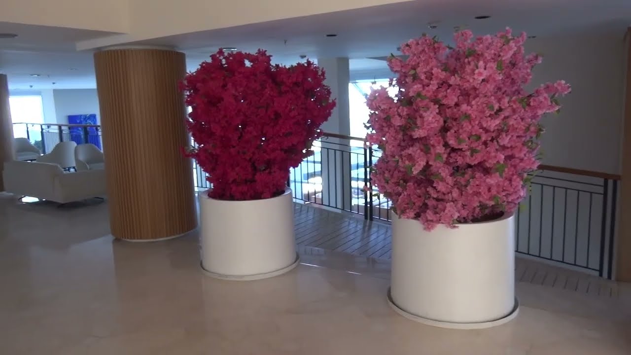 Kefaluka  Hotel  koło Bodrum. Październik 2024 r