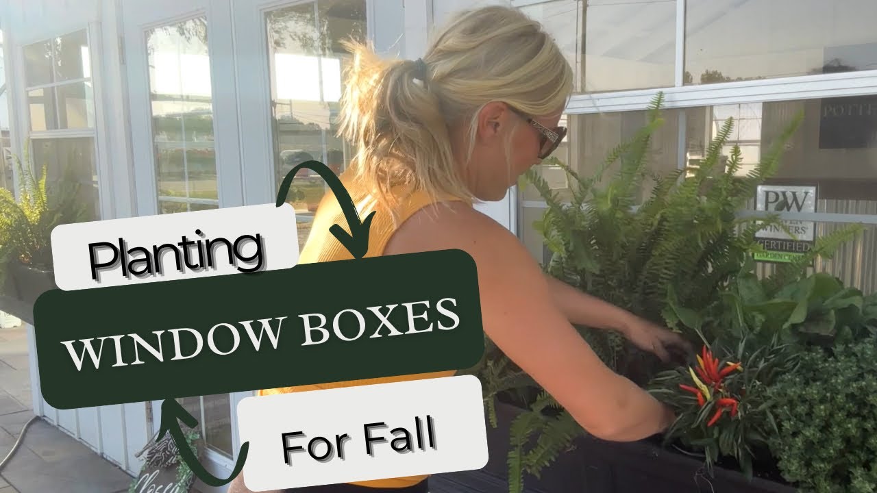 Fall Window Box Ideas | Seasonal Planters at Potted Charm