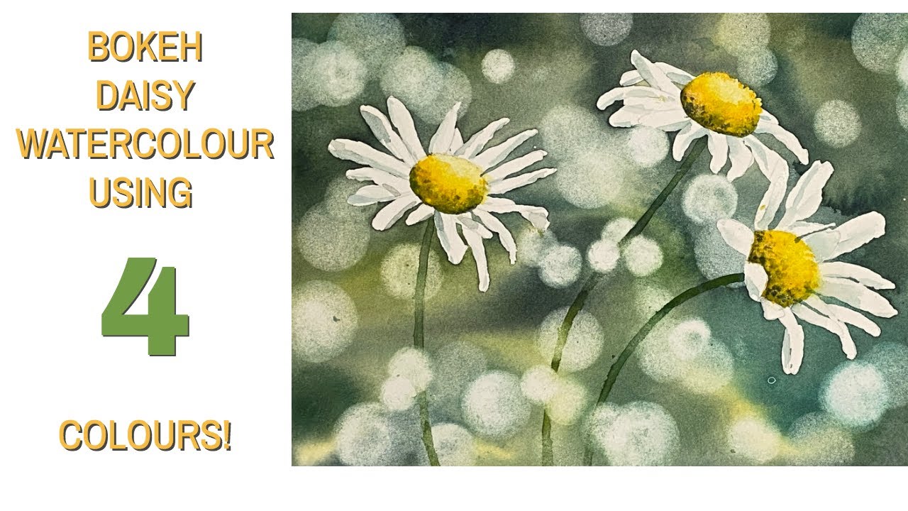 Daisy Watercolour Painting For Beginners