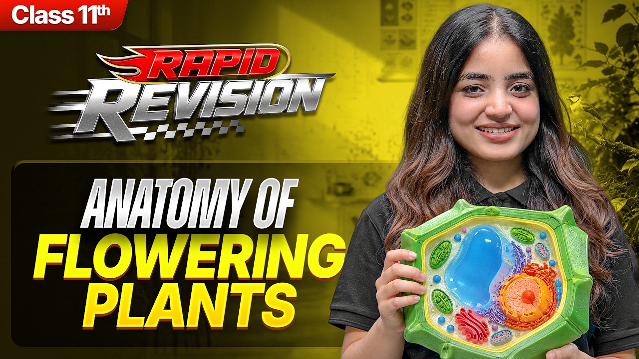 Anatomy of Flowering Plants in 15 Min. | Class 11 Biology-Chapter 6 RAPID REVISION | CBSE 2026-27