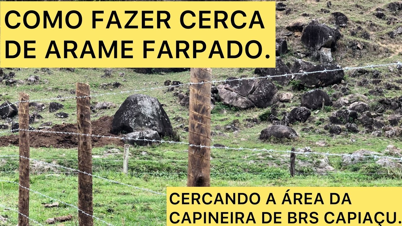 COMO FAZER CERCA DE ARAME FARPADO // CERCANDO A ÁREA DA CAPINEIRA DE BRS CAPIAÇU.