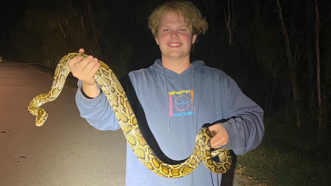 Herping Connecticut and Florida! (BURMESE PYTHON CAUGHT!)