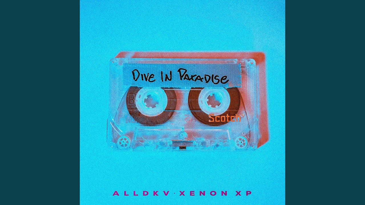 Dive in Paradise