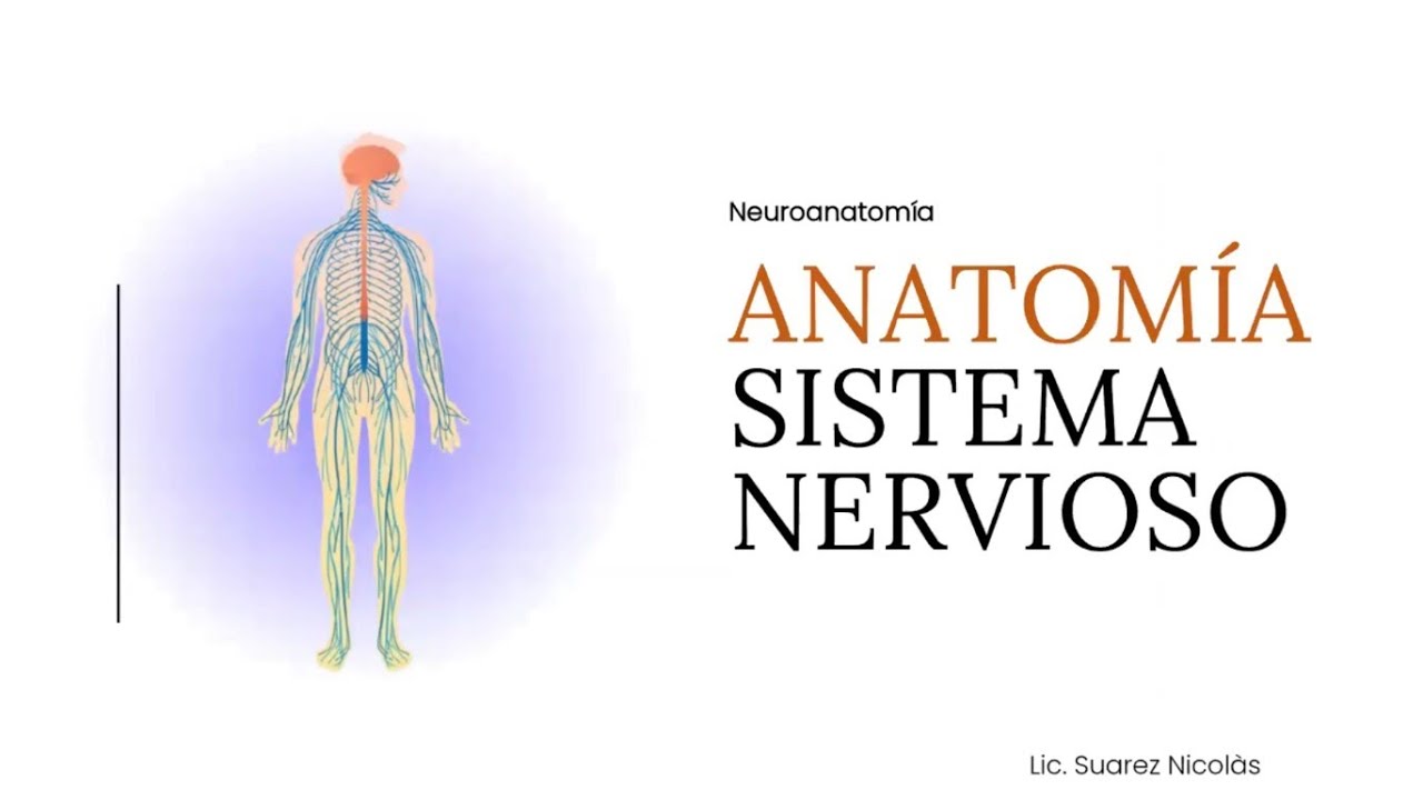 Anatomia Generalidades - Sistema Nervioso