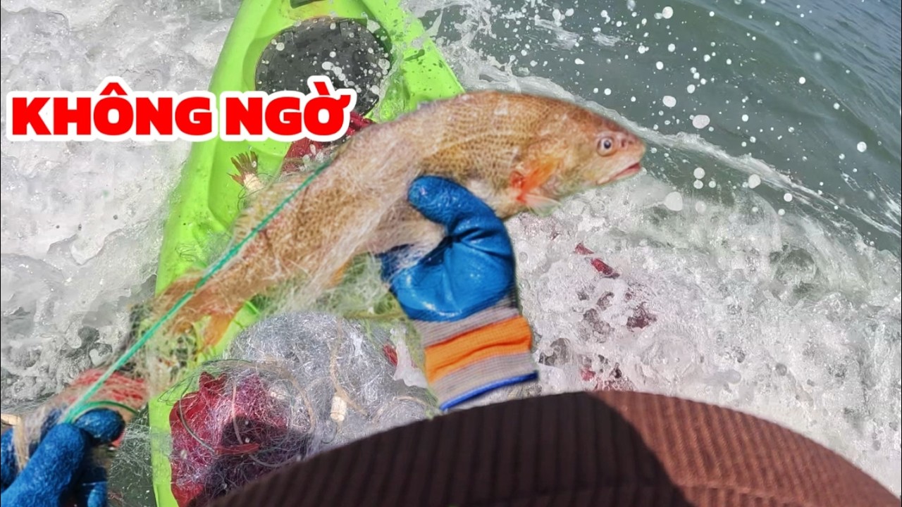 Vừa Kéo Lưới Vừa Lo Sóng Nhưng Trúng Cá Quá Đã