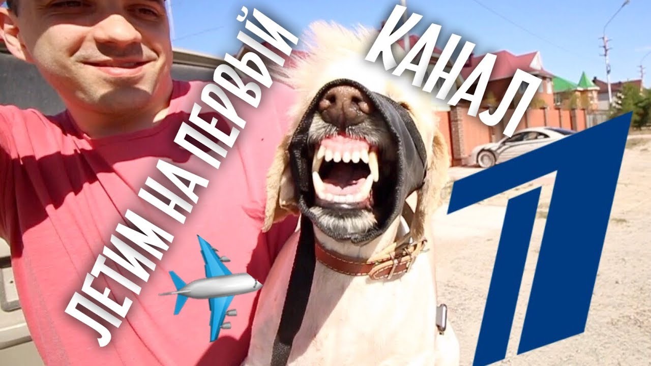 Пригласил ПЕРВЫЙ КАНАЛ. Не пустили В САМОЛЕТ.