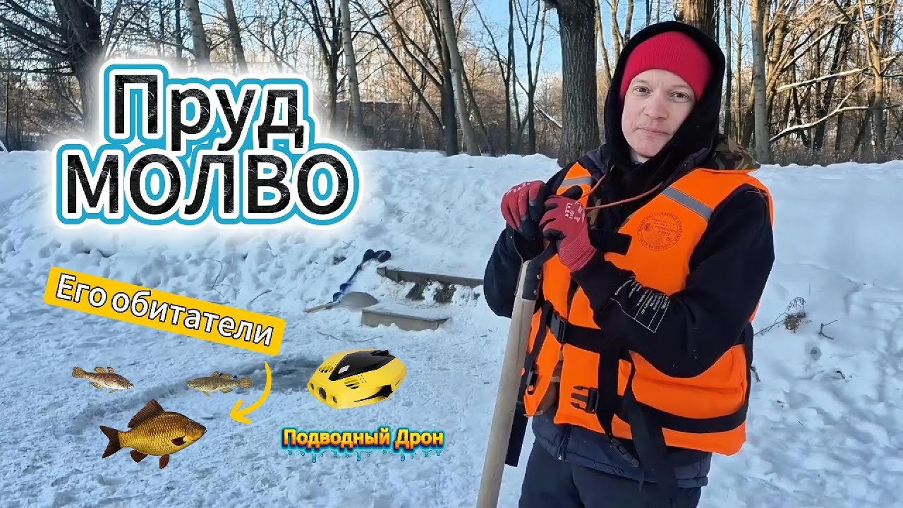 Ротаны и караси пруда Молво: зимняя подводная жизнь