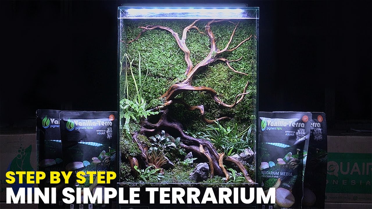 STEP BY STEP TERRARIUM SIMPLE MUDAH DAN MURAH