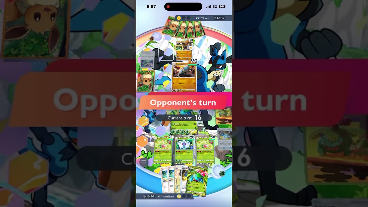 Venusaur EX Stops Rampardos / Kabutops Deck!!! Ranked! #pokemontcgpocket