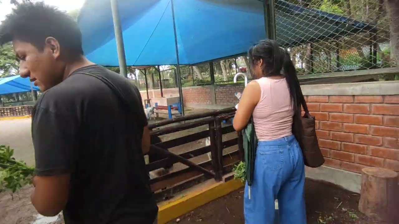 Recorriendo el parque huascar de villa el salvador.
