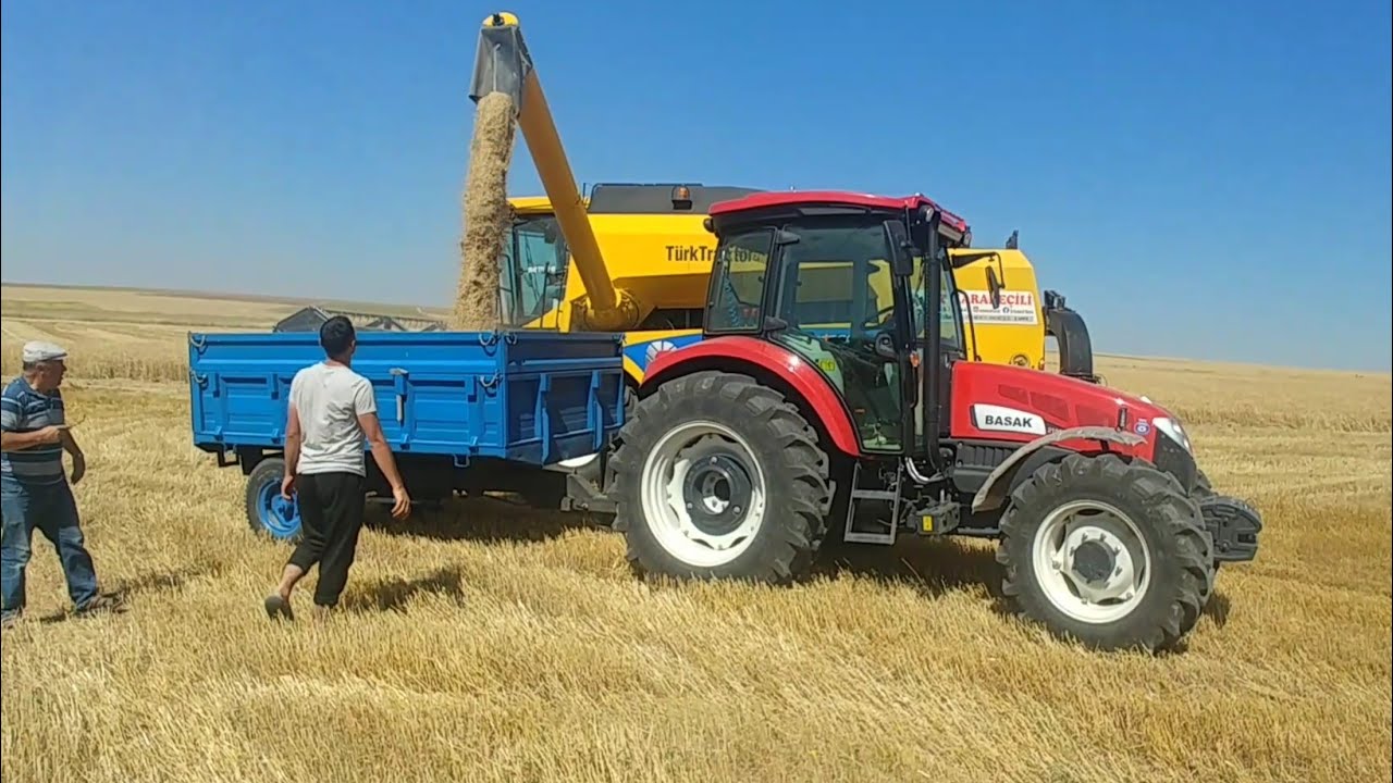 Harman Zamanı 2023 Ekinlerimiz Biçiliyor Başak 2105 s