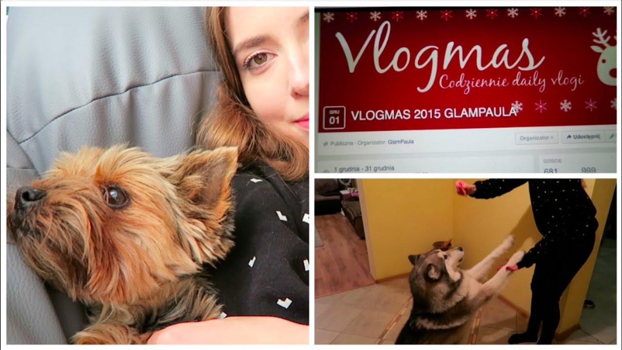DAILY VLOG BĘDZIE VLOGMAS I PSY SZALEJĄ