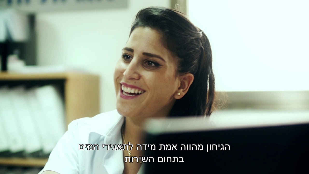 תדמית חברת הגיחון