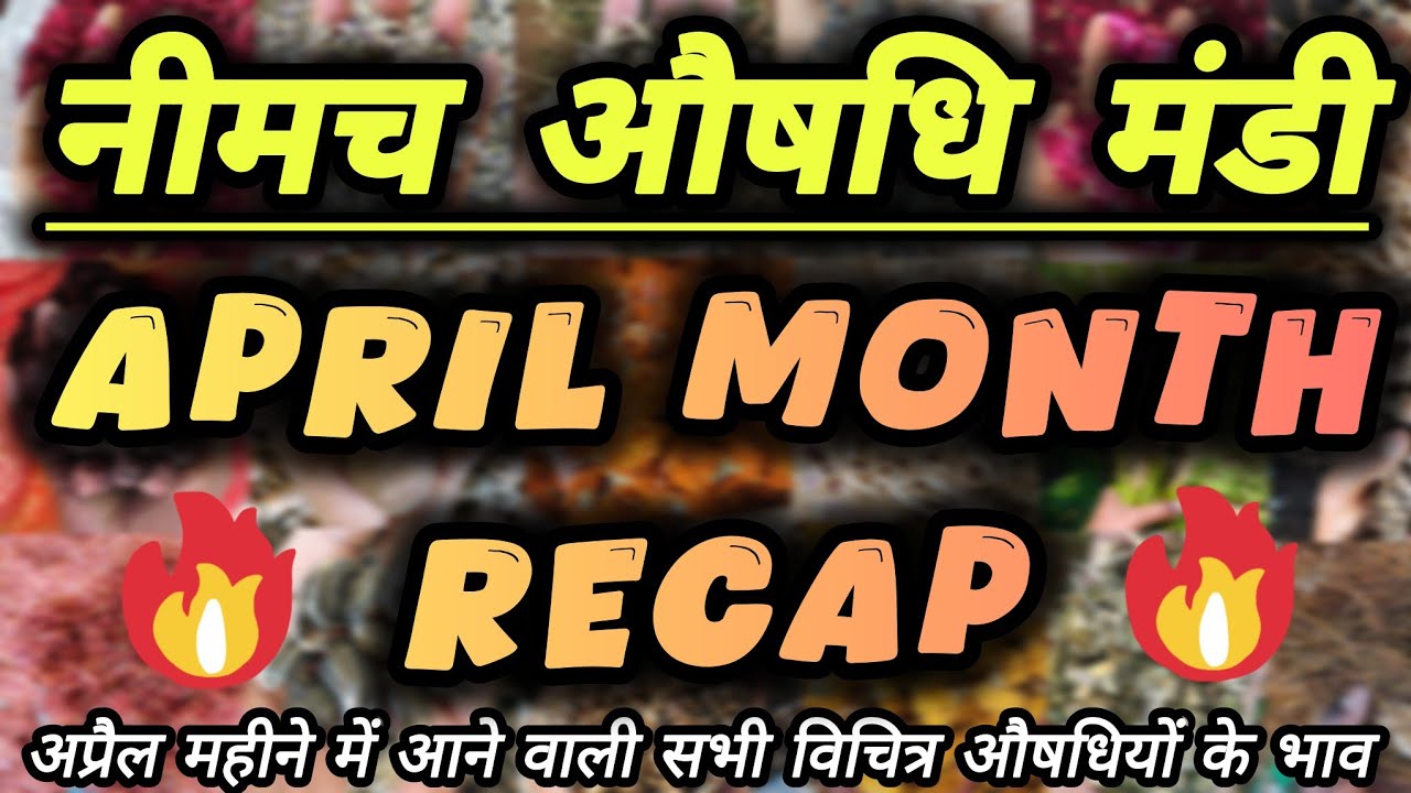 अप्रैल महीने में आने वाली सभी विचित्र औषधियों के भाव 🤯🤯 ।। April Month Recap ।। Neemuch Mandi Bhav