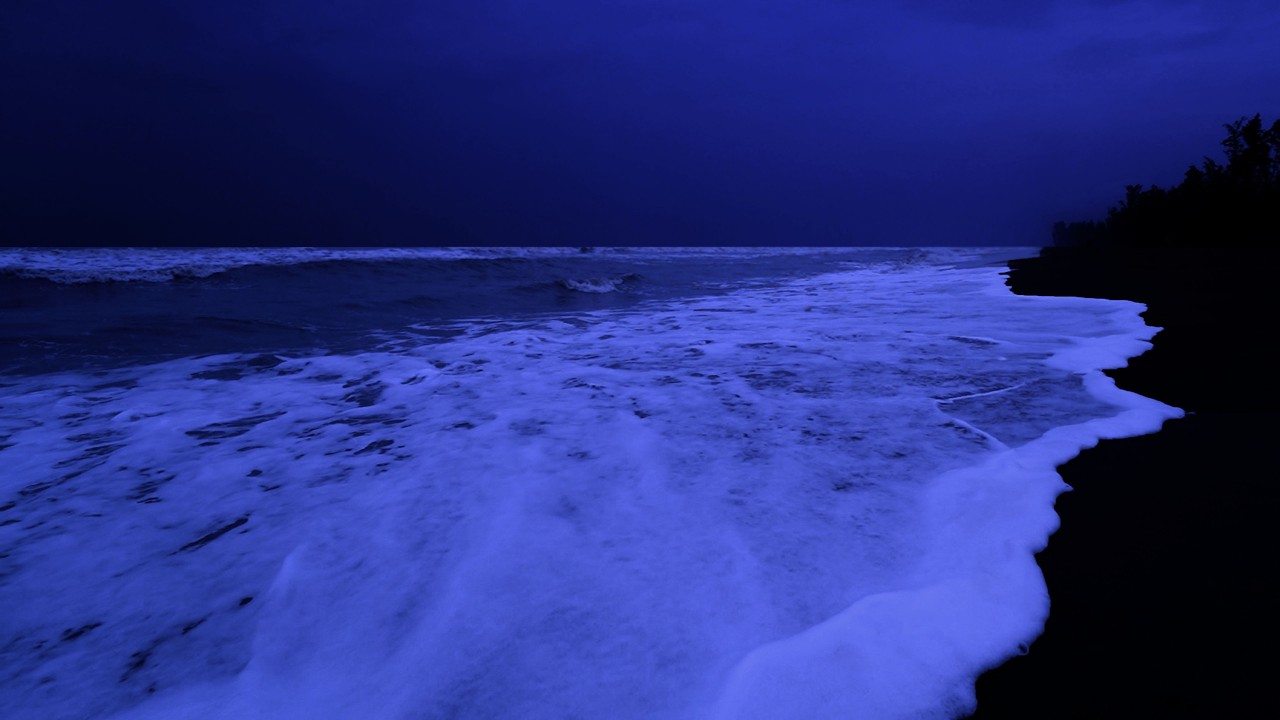 Ocean Waves for Restful Sleep - Calming Ocean Sounds for Relaxing Sleep and Mental Peace