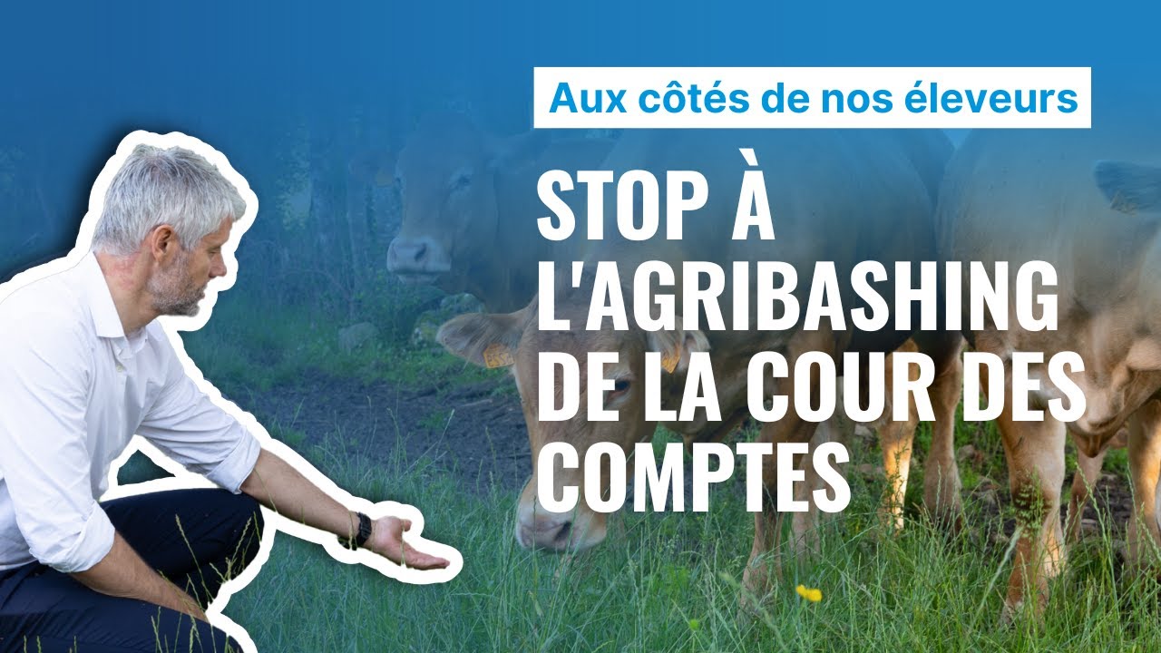 Aux côtés de nos éleveurs contre l'agribashing de la Cour des comptes | Laurent Wauquiez