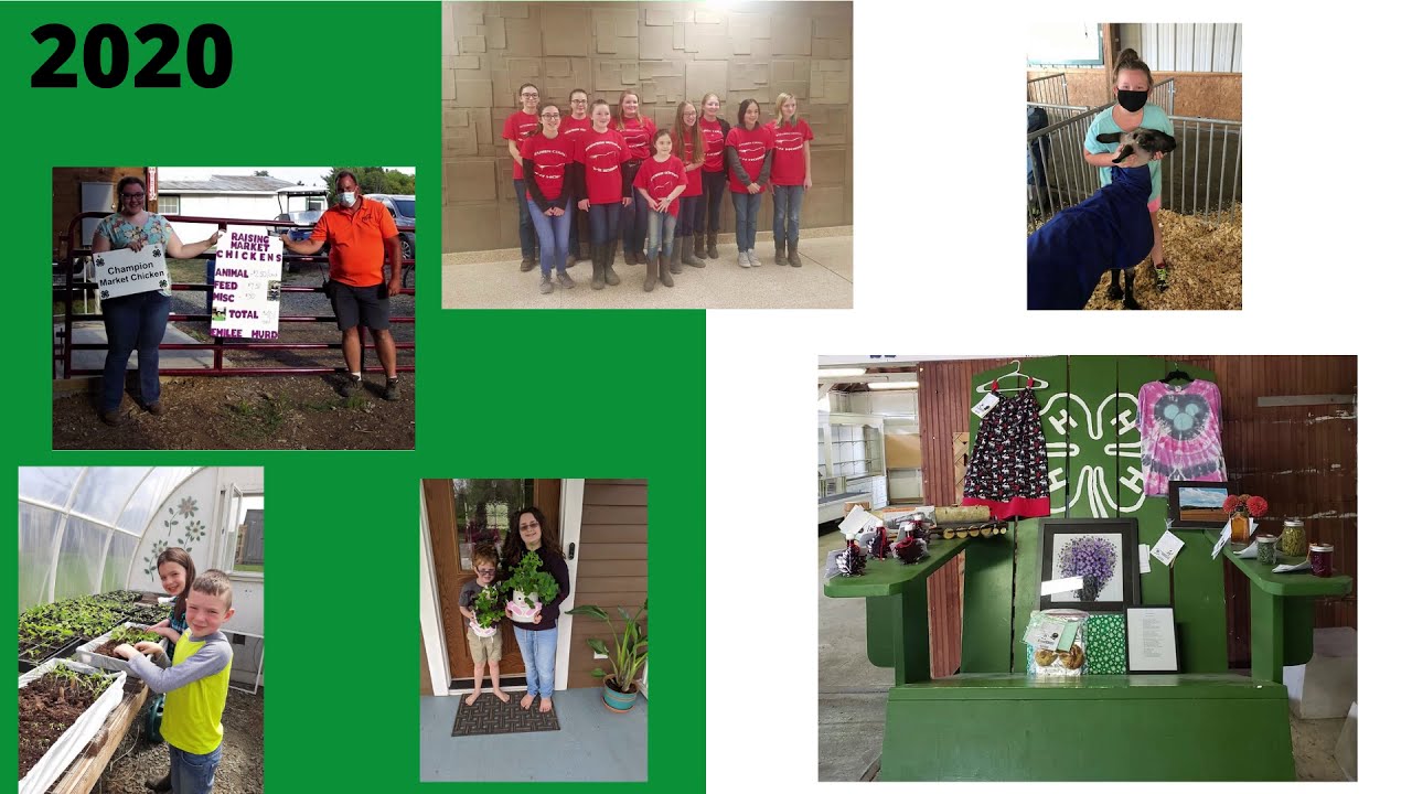 2020 Steuben County 4 H Awards