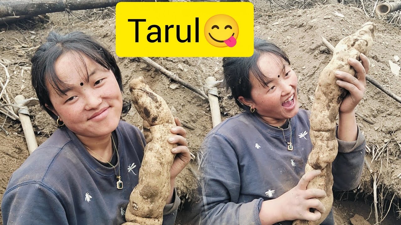 TARUL KO BARSAD 😱!!! FUPA VADAI MILEKI AWASTA 🥺!! #subscribe #support 