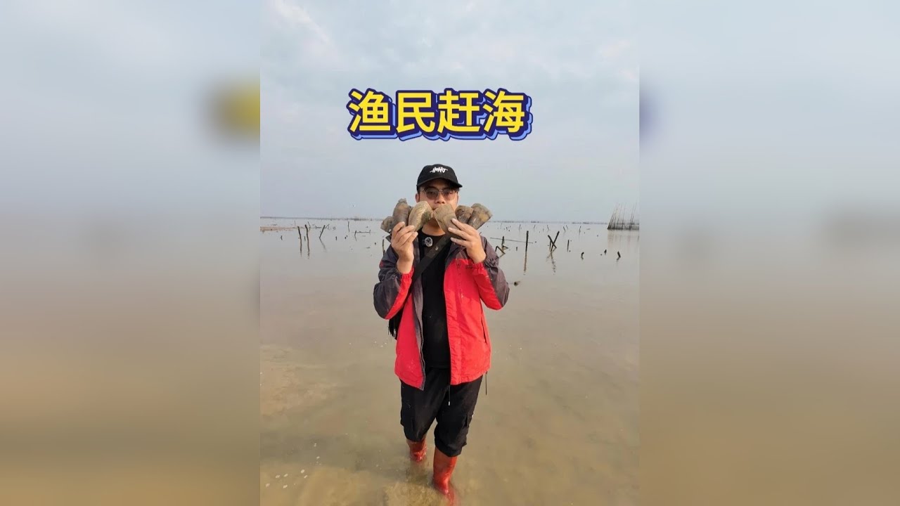 潮起潮落，全是大海的馈赠。