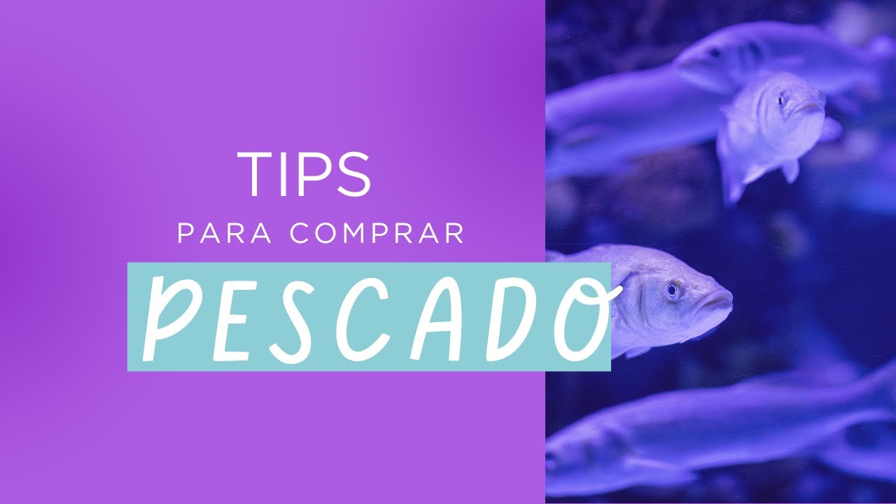 ¿Cómo saber si un pescado está fresco o no? 🐟⚠️