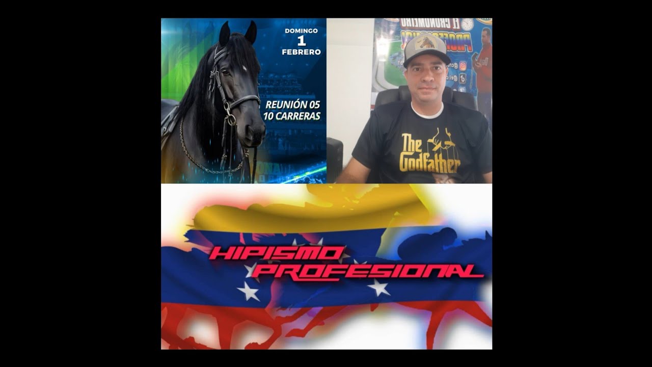 HIPISMO PROFESIONAL DOMINGO 01/02/2026