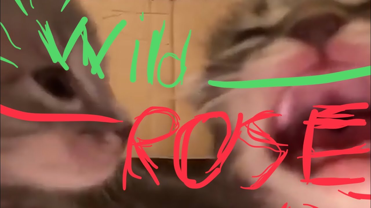 Wild Rose // Galaxxyss - Para - Lexy - StarkyTheSalad [Extreme Demon]